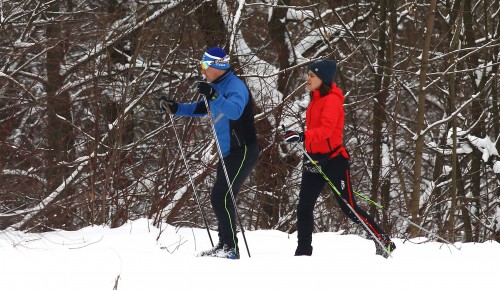 На природных территориях ЮЗАО можно встретить краснокнижных животных