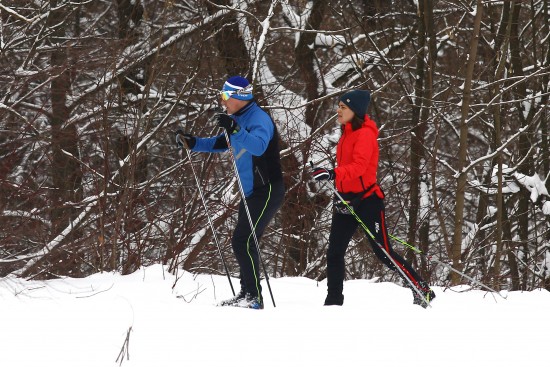 На природных территориях ЮЗАО можно встретить краснокнижных животных