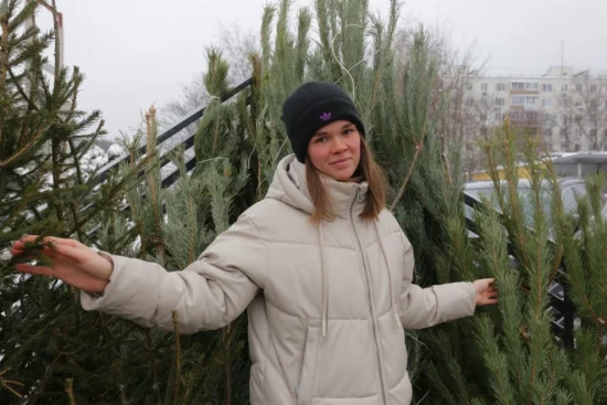 На юго-западе Москвы открыли пункты приема новогодних деревьев