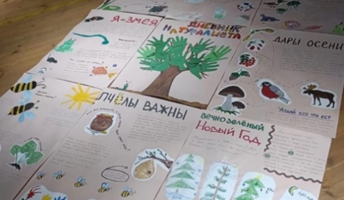 Участники кружка «Лесовичок» при экоцентре «Лесная сказка» стали призерами проекта «Дневник натуралиста»