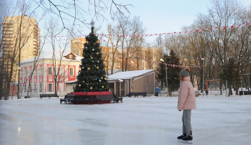 В Воронцовском парке пройдут бесплатные занятия для детей по анимации и английскому