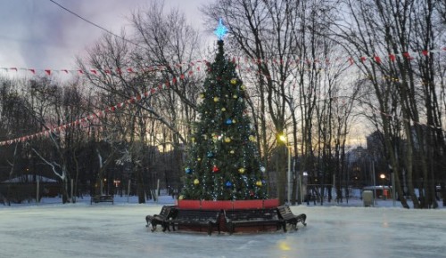 Атмосферные зимние фотографии можно сделать в Воронцовском парке