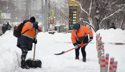 В выходные жителей ЮЗАО ждет пасмурная погода