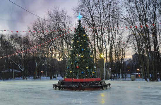 Атмосферные зимние фотографии можно сделать в Воронцовском парке