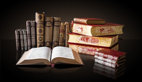 Библиотека №173 организует путешествие по миру сказок Шарля Перро 19 января