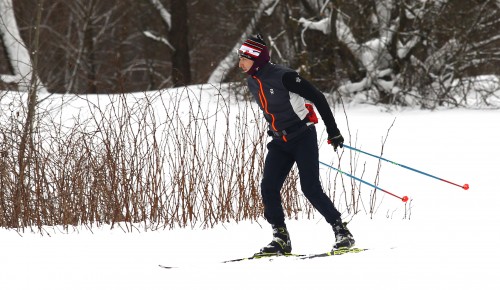 Тренеры Мосгорспорта научат кататься на лыжах в Воронцовском парке