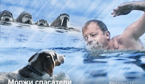 Столичные «моржи» спасли провалившуюся под лед собаку
