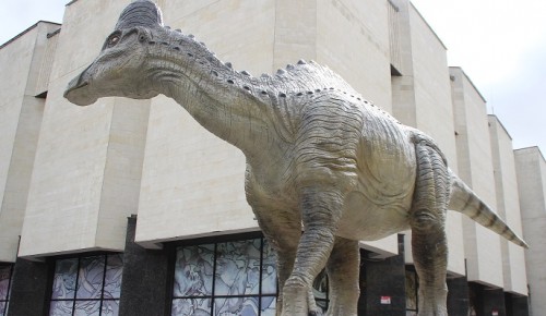 В Дарвиновском музее отпразднуют День российской науки