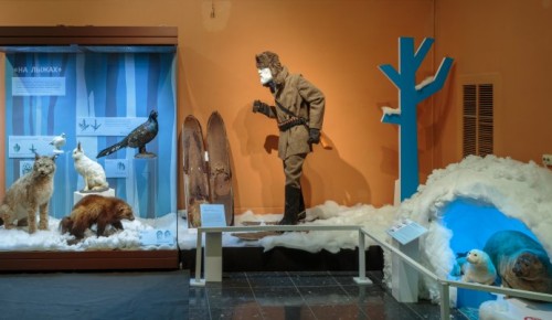 В Дарвиновском музее 22 января отпразднуют Всемирный день снега