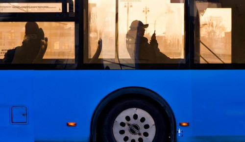 Маршрут автобуса №577 из Теплого Стана продлят до остановки «Бархатная роща» в Воскресенском