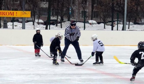 В Черемушках провели соревнования по хоккею «Золотая шайба»