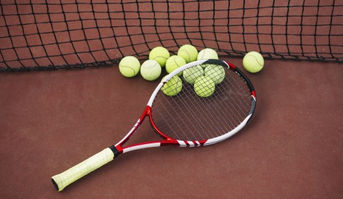 Предприниматели могут арендовать спортивный комплекс «Лаун-теннис» в Ясеневе