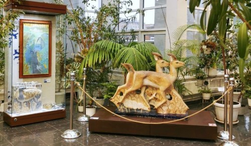 Дарвиновский музей приглашает в вечнозеленую оранжерею