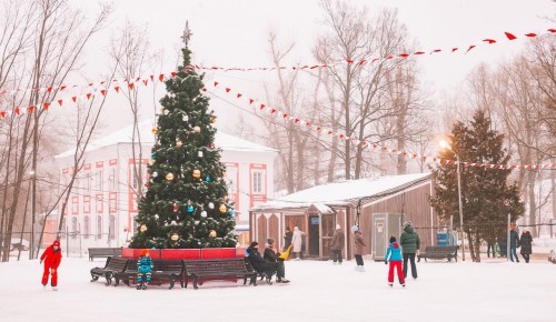 В Воронцовском парке 25 января студенты и Татьяны смогут бесплатно посетить каток «Усадебный»