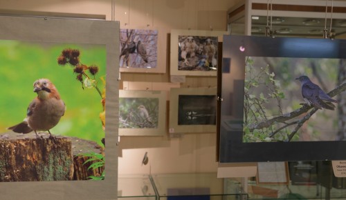 Экоцентр «Воробьевы горы» отметит 12-летие