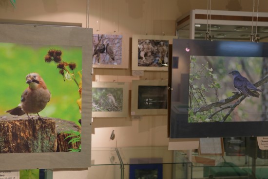 Экоцентр «Воробьевы горы» отметит 12-летие