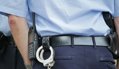 Полицейские в Ясеневе задержали похитителя компьютерного руля из магазина 