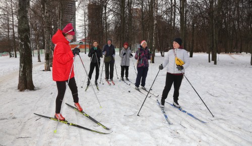 Лыжные премудрости. Мы побывали на бесплатной тренировке в Воронцовском парке