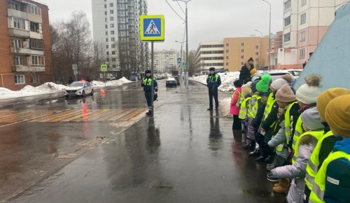 «Шагающий автобус» продолжает курсировать по улицам Юго-Западного округа Москвы