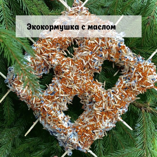 Жителям Теплого Стана представили топ-5 съедобных экокормушек