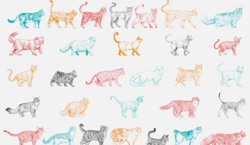 Библиотека №192 приглашает поучаствовать в онлайн-конкурсе детских рисунков ко Дню кошек 