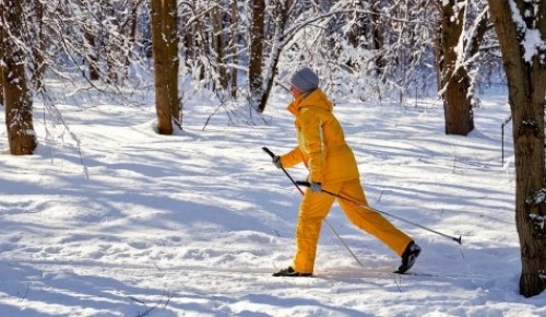 Команда школы №626 приняла участие в межрайонном этапе по лыжному туризму