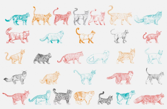 Библиотека №192 приглашает поучаствовать в онлайн-конкурсе детских рисунков ко Дню кошек 