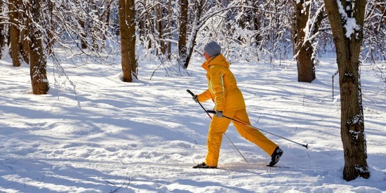Команда школы №626 приняла участие в межрайонном этапе по лыжному туризму