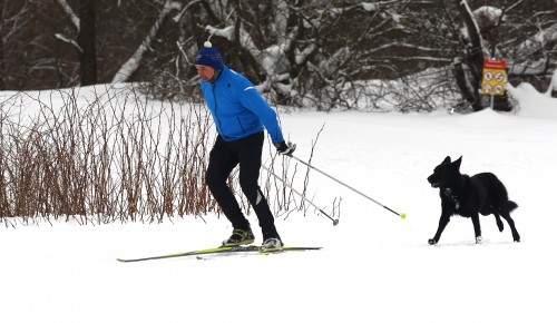 Масштабные лыжные соревнования пройдут на трассе спортклуба «Альфа-Битца» в выходные