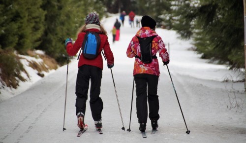 Жителей Теплого Стана приглашают поболеть за участников лыжных соревнований, которые пройдут на базе «Альфа-Битца»