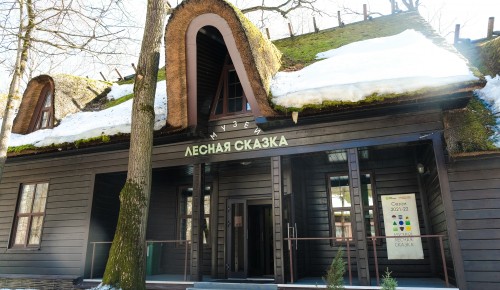 Долголеты изучат экопривычки и технику скандинавской ходьбы в экоцентрах ЮЗАО