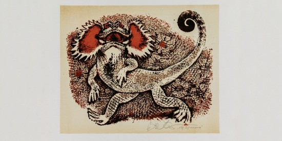 Выставку «Почему их так назвали» откроют в Дарвиновском музее