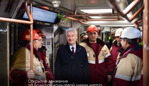 Собянин объявил о бесплатном входе в метро на станциях БКЛ в течение пяти дней