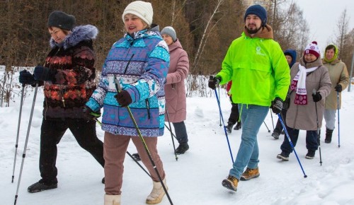 В заказнике «Теплый стан» стартовал новый цикл занятий скандинавской ходьбой для долголетов
