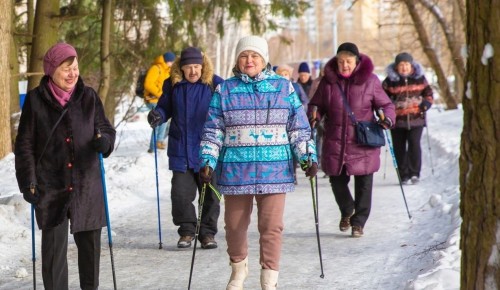 Долголетов из Конькова приглашают присоединиться к занятиям скандинавской ходьбой от Мосприроды