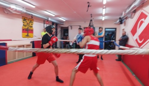 В клубе «Спартанец» «Альмеги» состоялись открытые соревнования по боксу