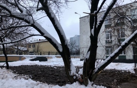 В Обручевском районе снесли заброшенное здание