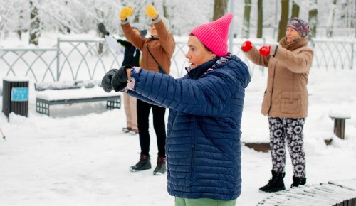 В Воронцовском парке проводятся спортивные тренировки для участников с различным уровнем подготовки