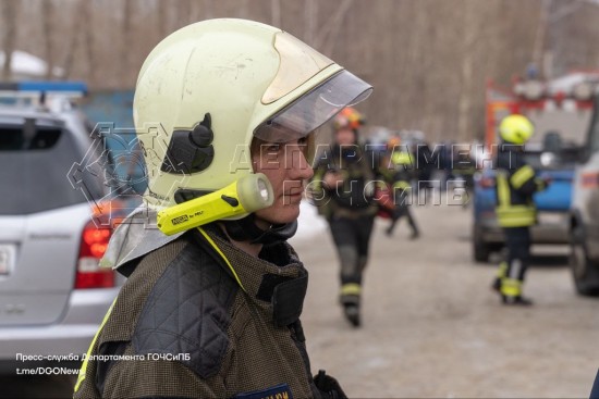 Приняли участие в поиске людей