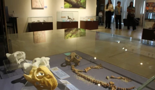 В Дарвиновском музее отпразднуют Всемирный день воды