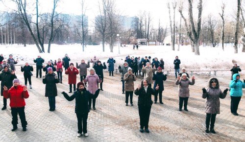 Воронцовский парк проводит бесплатные онлайн-тренировки по стретчингу и гимнастике цигун