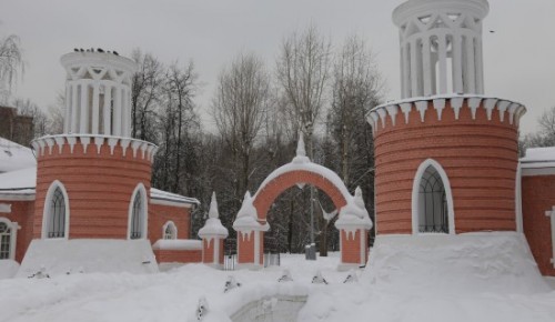 В Воронцовском парке научат создавать украшения из смолы