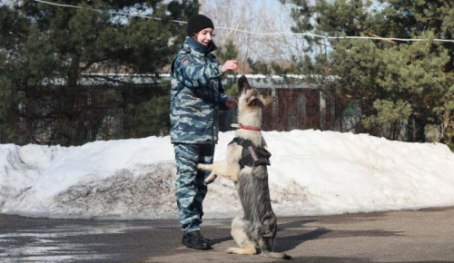 Полицейские совместно с Общественным советом при УВД по ЮЗАО познакомили гостей с работой правоохранительных органов