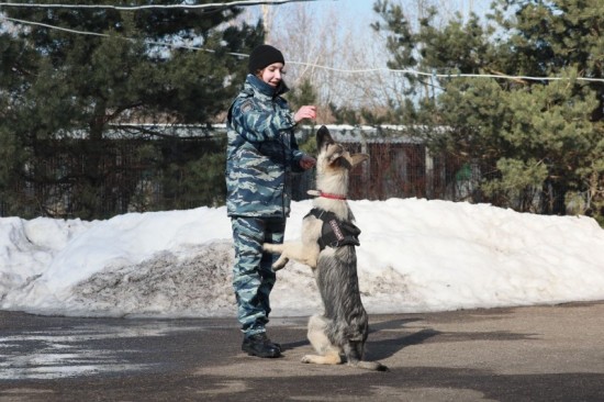 Полицейские совместно с Общественным советом при УВД по ЮЗАО познакомили гостей с работой правоохранительных органов