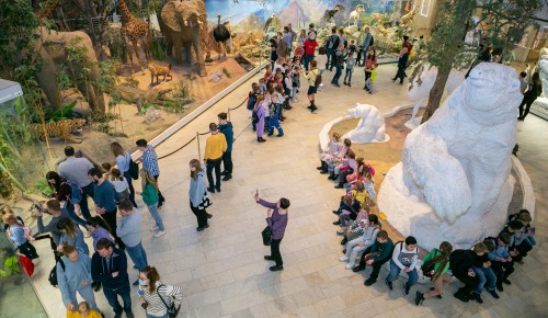В Дарвиновском музее 1 апреля отметят «Всемирный день птиц»