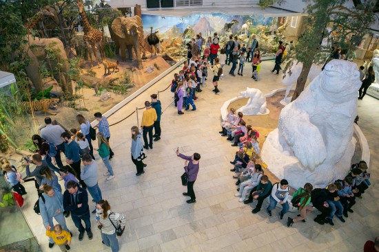 В Дарвиновском музее 1 апреля отметят «Всемирный день птиц»