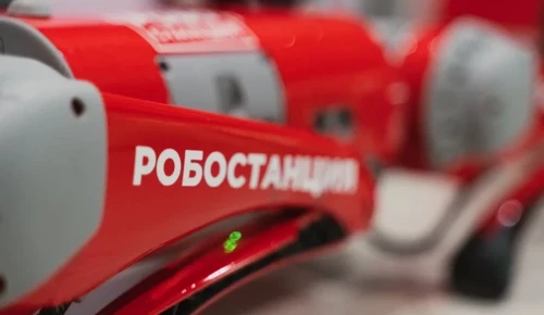 Мастер-класс для детей по робототехнике пройдет в Воронцовском парке