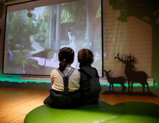 Экоцентр «Воробьёвы горы» проводит кинопросмотры экологических фильмов
