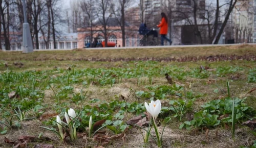 В Воронцовском парке увеличили пропускную способность сети городского вайфая