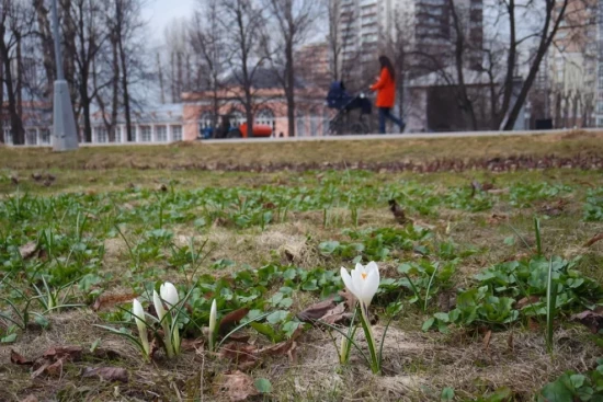 В Воронцовском парке увеличили пропускную способность сети городского вайфая